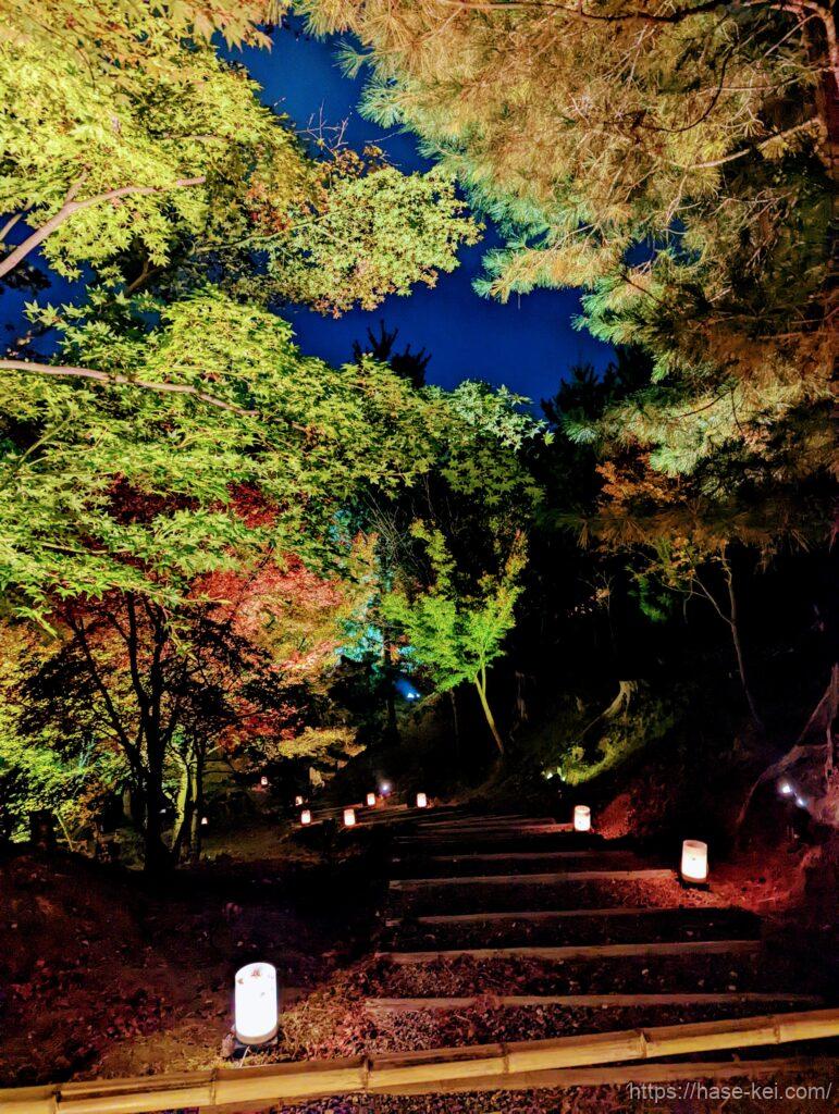 高台寺　夜間ライトアップ